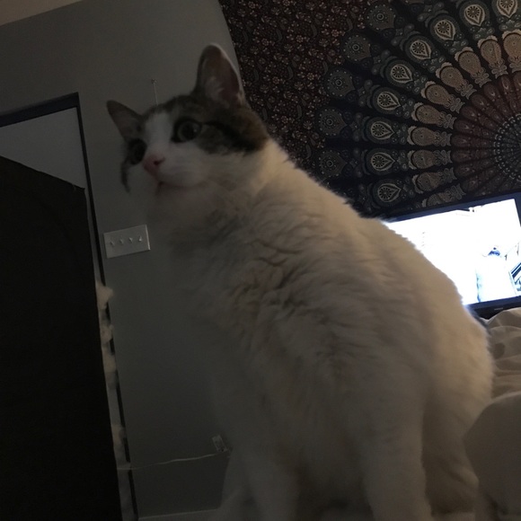 Welcome to my closet - Picture 1 of 1